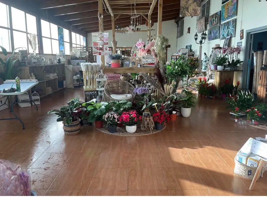 Interior de la tienda con plantas y decoración